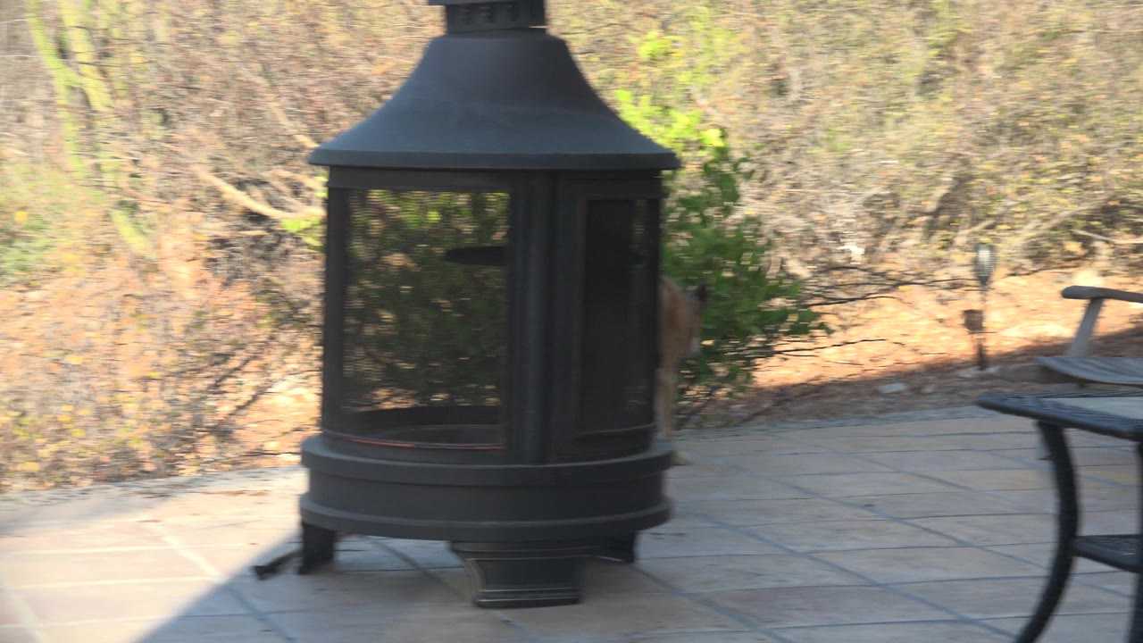 The black fire pit remains in front of the dry brush and patio furniture in Cabo Pulmo, Mexico, with a shaded tiled foreground and no visible people.