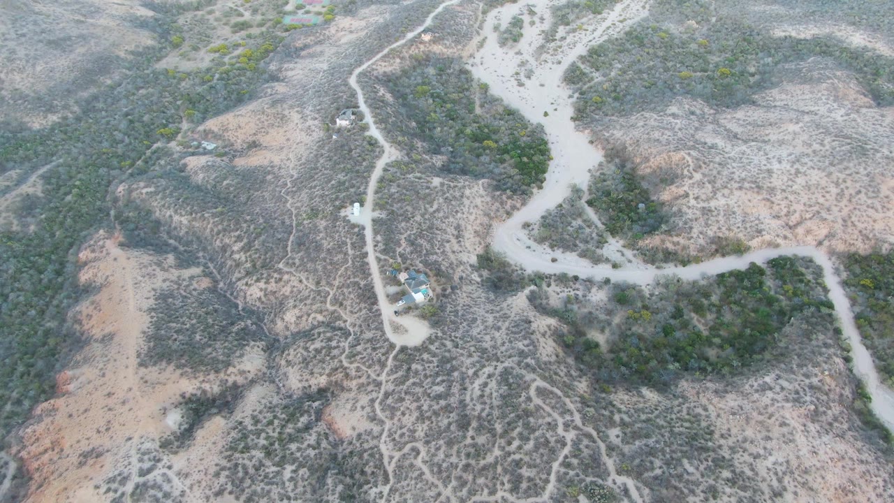 Drone-style overhead view of the Cabo Pulmo arid hillside, showing a winding dirt road, branching tracks, green scrub patches, and no visible people.