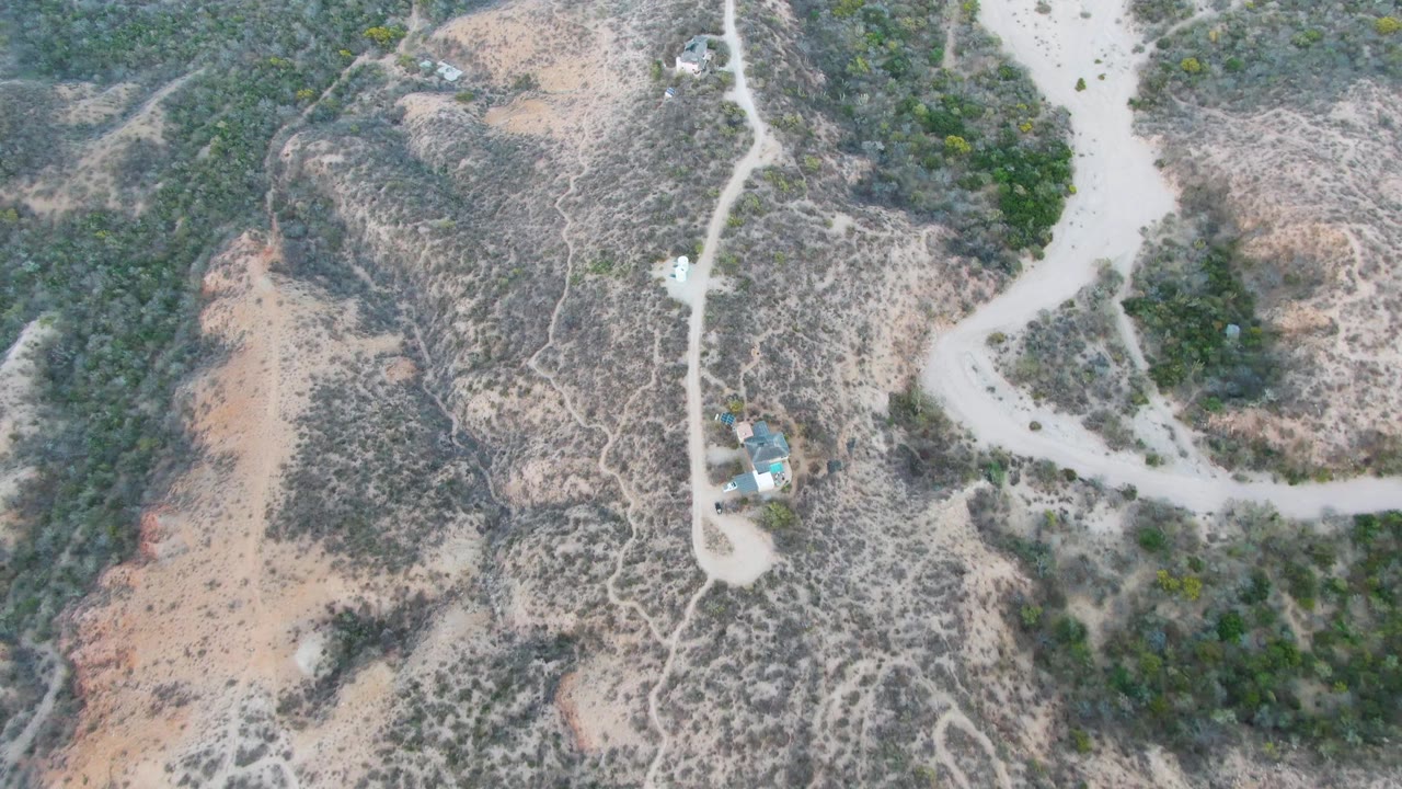 High aerial view in Cabo Pulmo, Baja California Sur, showing the vehicle near a road curve beside darker green vegetation and tan exposed ground, with no visible people.