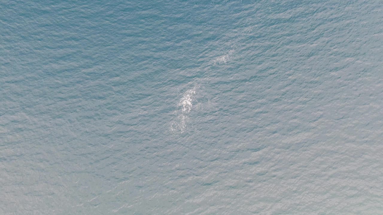 A small white foamy trail sits near the upper center of rippled blue ocean water in Los Barriles, Baja California Sur, with no visible people.