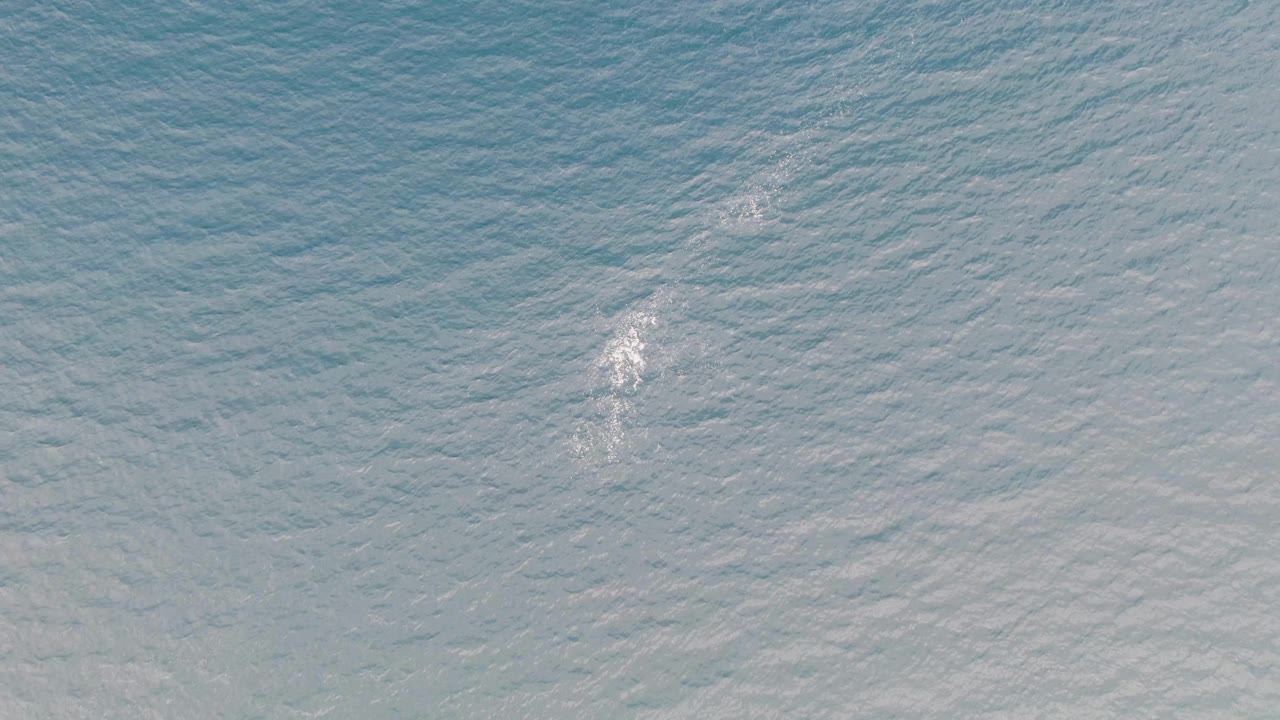 A white splash mark appears slightly lower in the frame on pale blue rippled ocean water in Los Barriles, Baja California Sur, with no visible people.