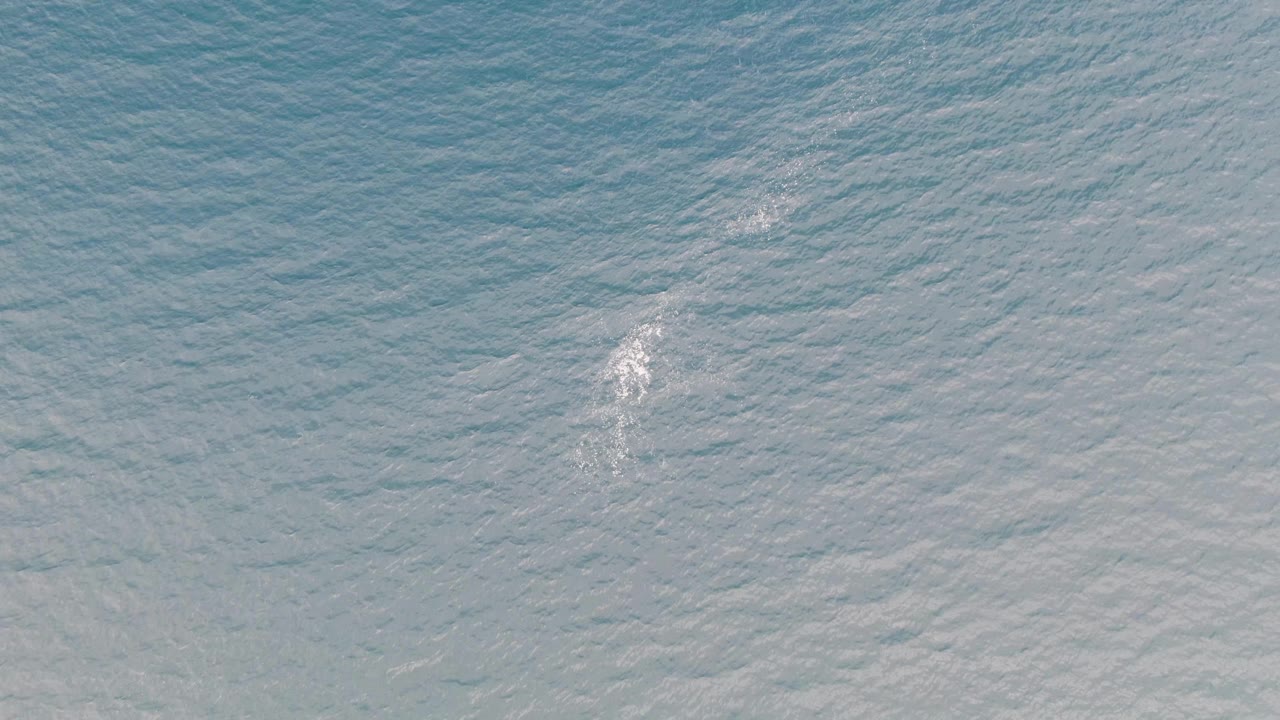 The foamy white trail remains visible near the middle of textured blue sea surface in Los Barriles, Baja California Sur, with no visible people.
