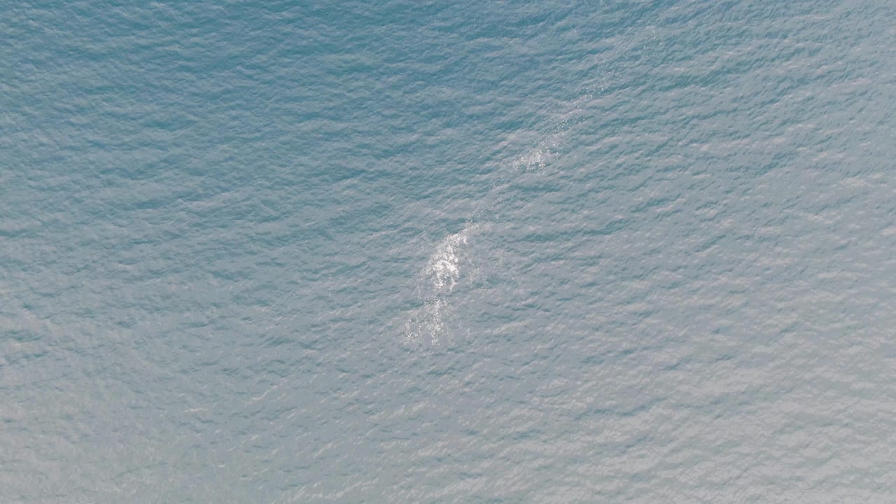 Bright foam patch on calm rippled ocean