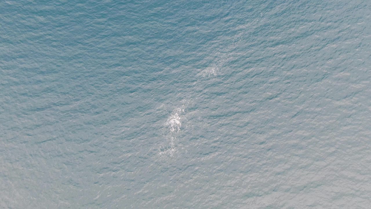 Overhead view of pale blue ocean water near Los Barriles with a small white foam patch left of center and no visible people.
