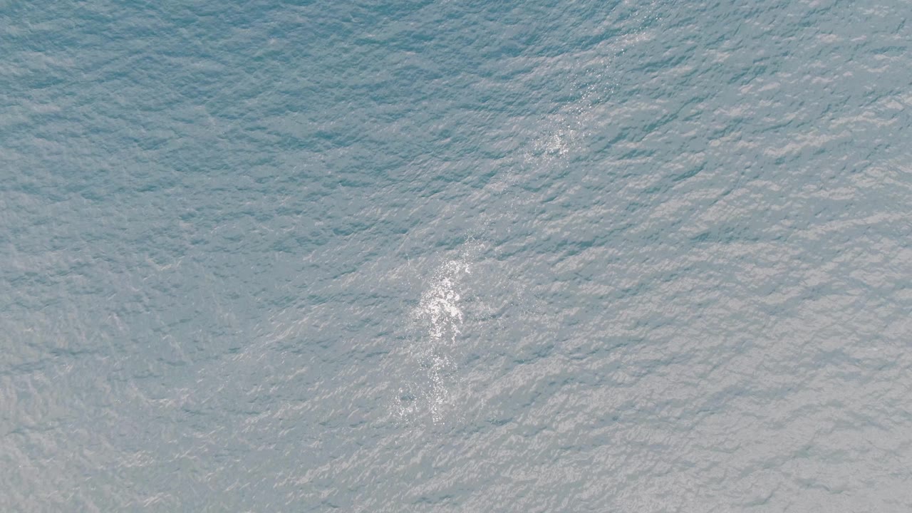 Foam wake low in frame over calm ocean ripples