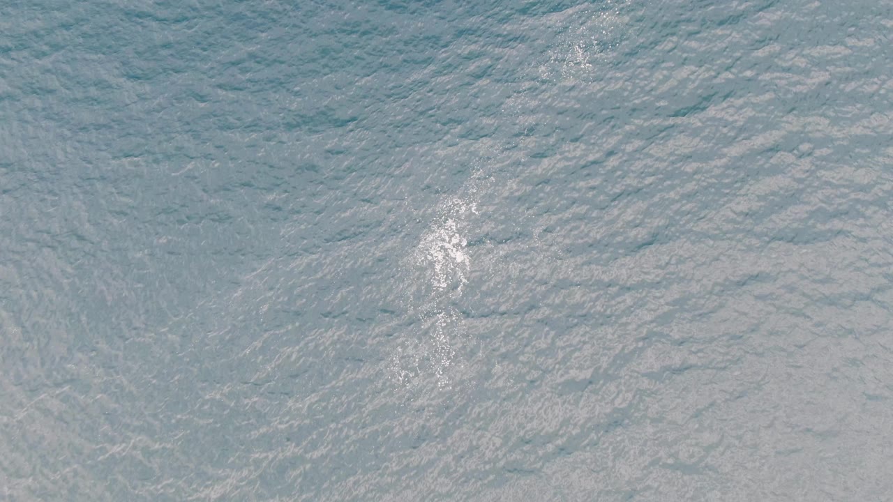 Foamy white wake over blue-green rippled water.