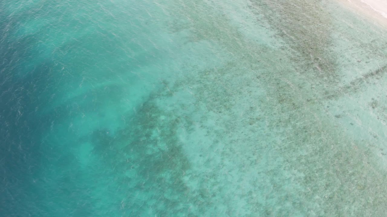 High overhead frame from Los Barriles showing green-blue shallow ocean, mottled seabed detail, and a narrow strip of pale sandy beach at the upper right, no visible people.