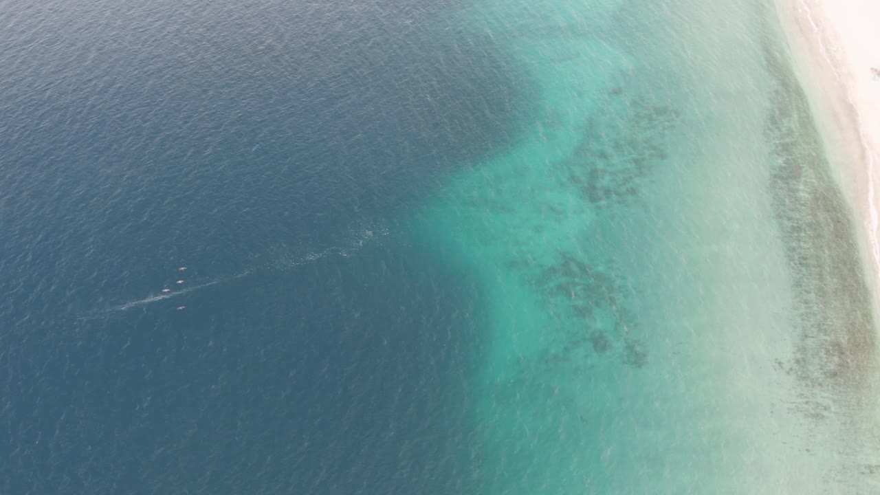 Aerial coastal water with a boat wake in deep blue water and swimmers near the shallows.