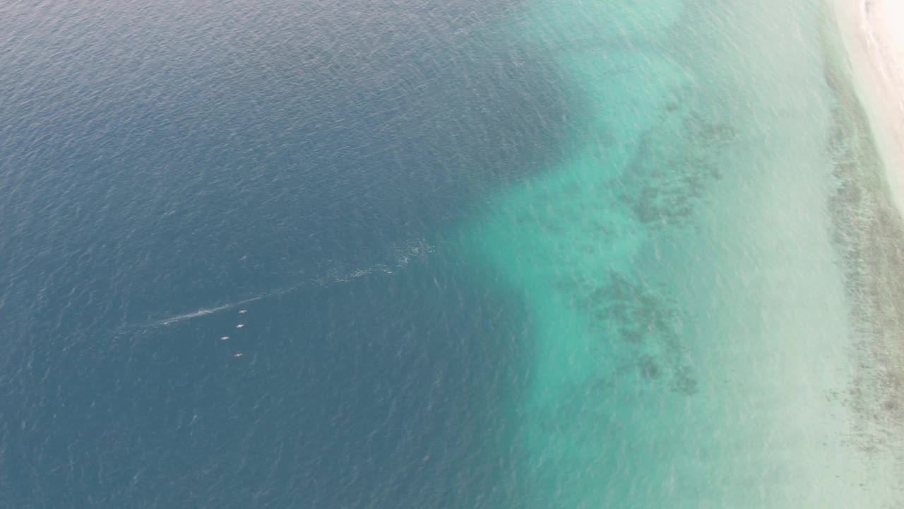 Overhead frame from Los Barriles with the sand edge near the right side, dark seabed or coral patches in the turquoise water, a wake in the blue water, and small swimmers below it.