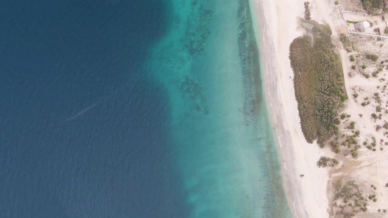 Top-down Los Barriles beach frame with blue-to-turquoise water, a pale sand strip, scrub vegetation inland, a small dark object near the shoreline, and no visible people.