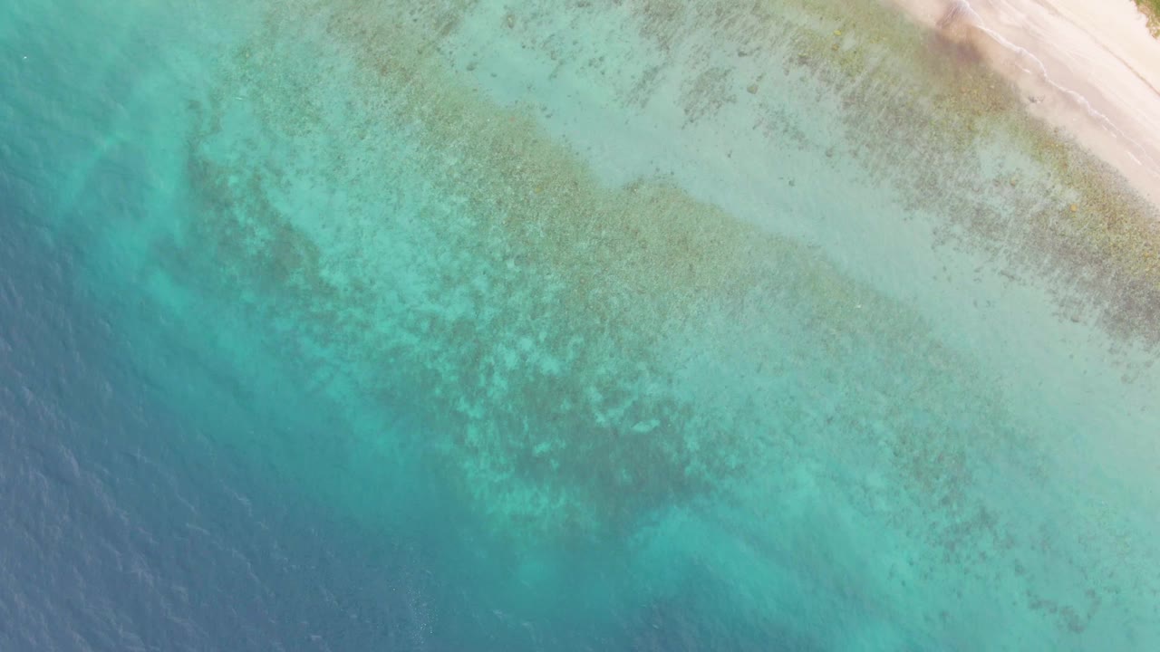 Clear shallow ocean water with beach along the top edge.