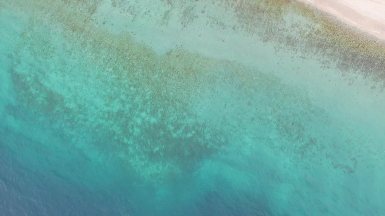 Aerial view of turquoise shallow ocean beside pale sand