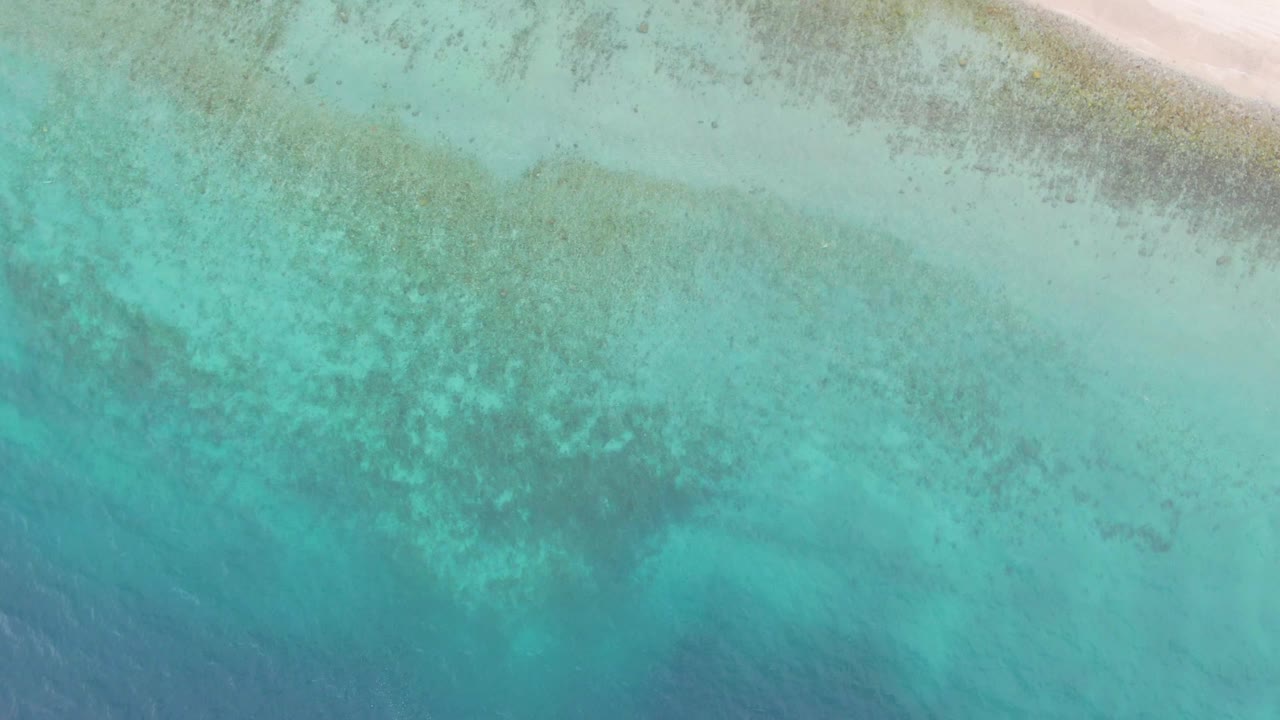 Aerial frame over Los Barriles with the sandy shoreline crossing the top edge and mottled green-blue seabed texture filling the shallow water below, with no visible people.