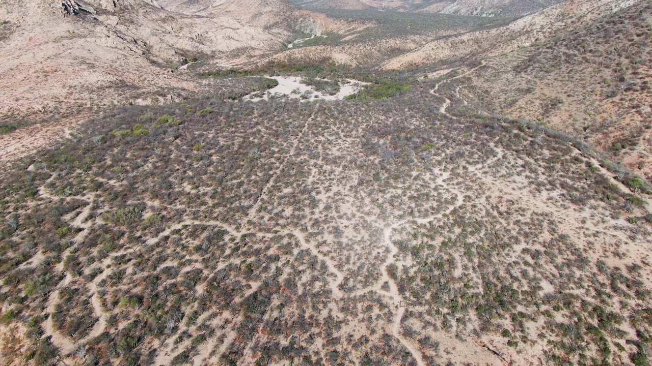 Aerial frame over Cabo Pulmo dry hills showing pale rocky ground, circular scrub vegetation, distant mountains, and no visible people.