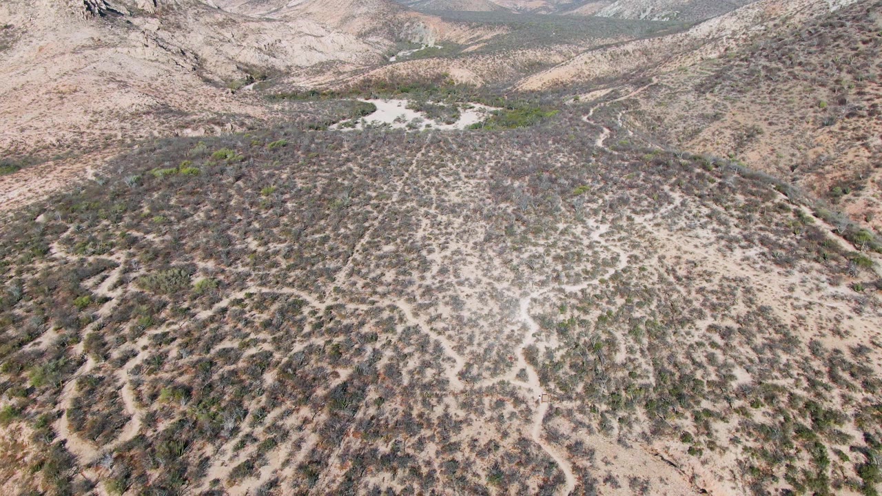 Aerial view in Cabo Pulmo with patterned desert vegetation across a rounded hill, a small pale water body near the upper left, distant mountains, and no visible people.