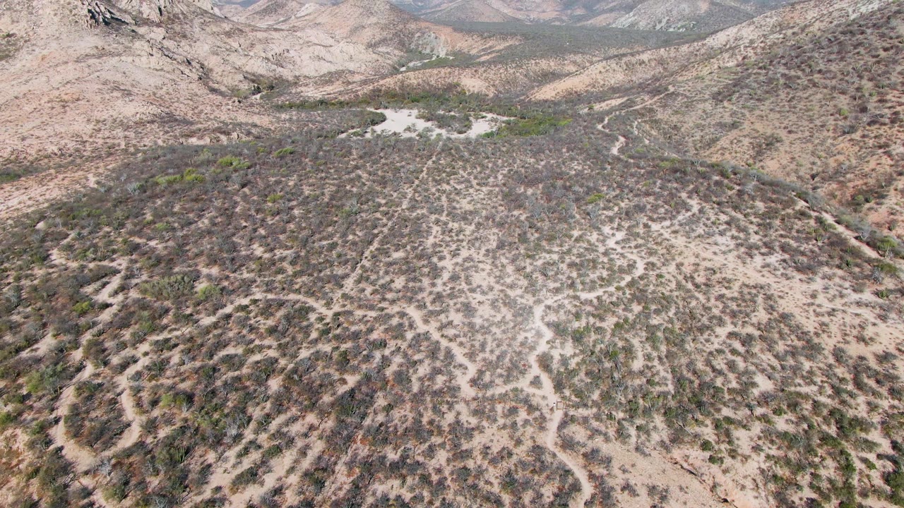 High drone frame over Cabo Pulmo arid terrain with circular vegetation patches, winding pale tracks, layered hills, distant mountains, and no visible people.