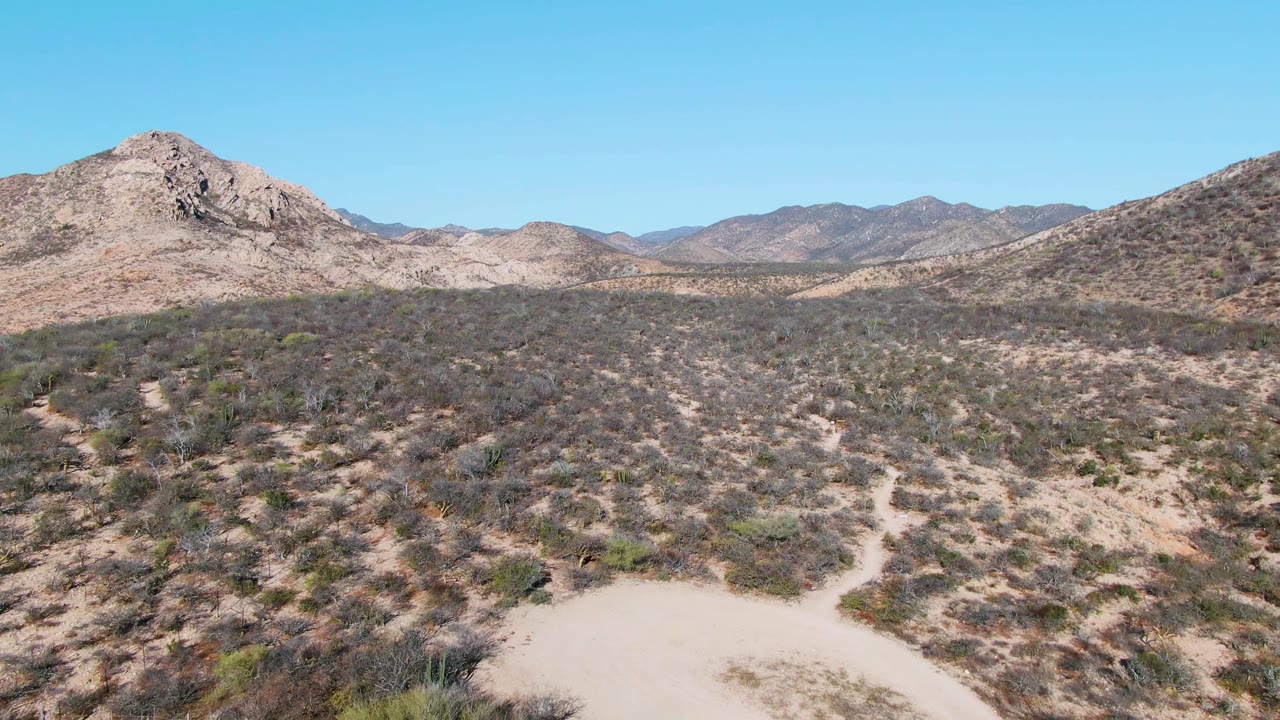 Wide aerial view of desert scrubland in Cabo Pulmo, Baja California Sur, with a pale dirt path in the foreground, rocky mountains across the horizon, clear blue sky, and no visible people.