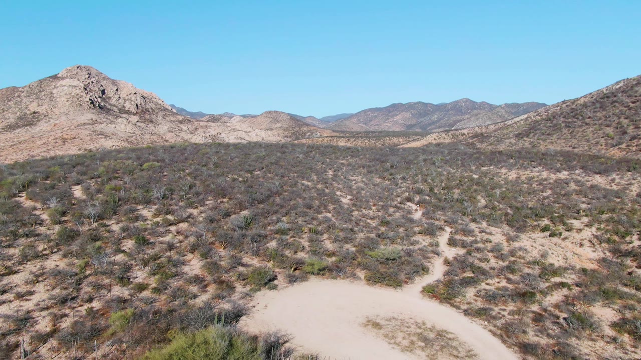 Aerial frame over Cabo Pulmo desert terrain with branching pale dirt tracks, scattered shrubs, rocky hills in the midground, distant mountains, bright daylight, and no visible people.