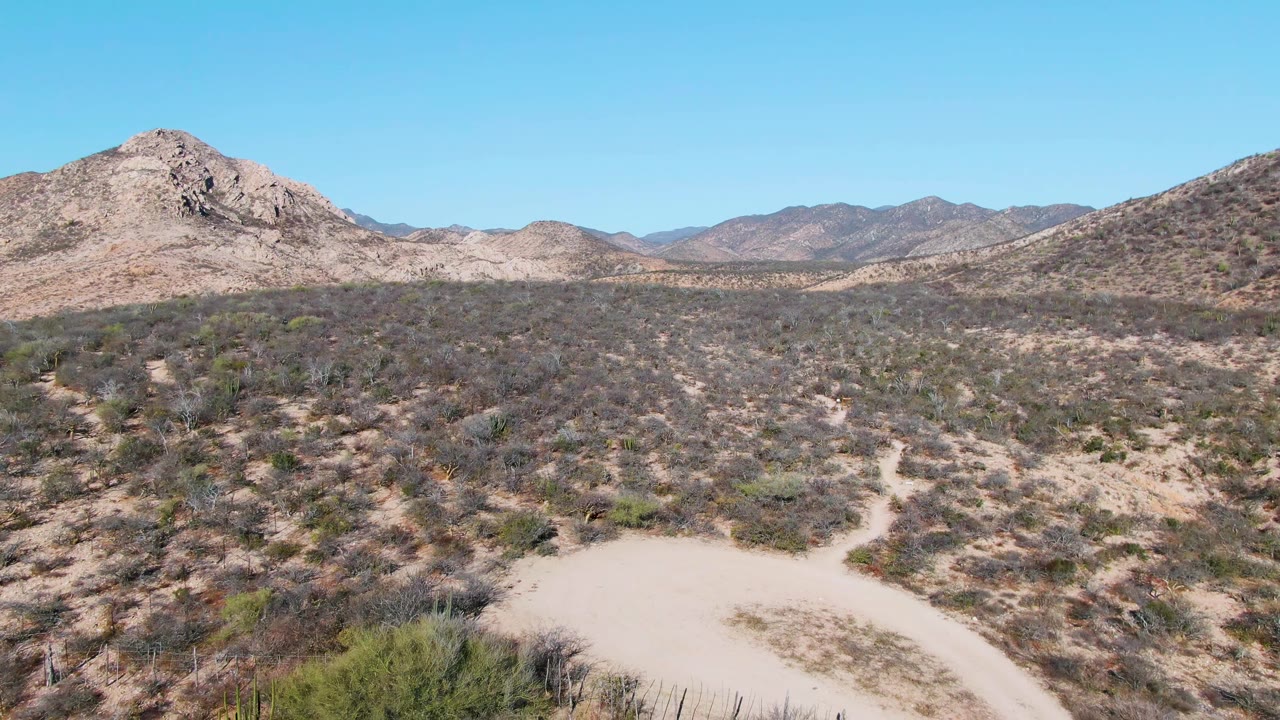 Cabo Pulmo desert landscape with a curved sandy path at the lower edge, dense patches of low scrub, layered rocky hills and mountains beyond, clear sky, and no visible people.