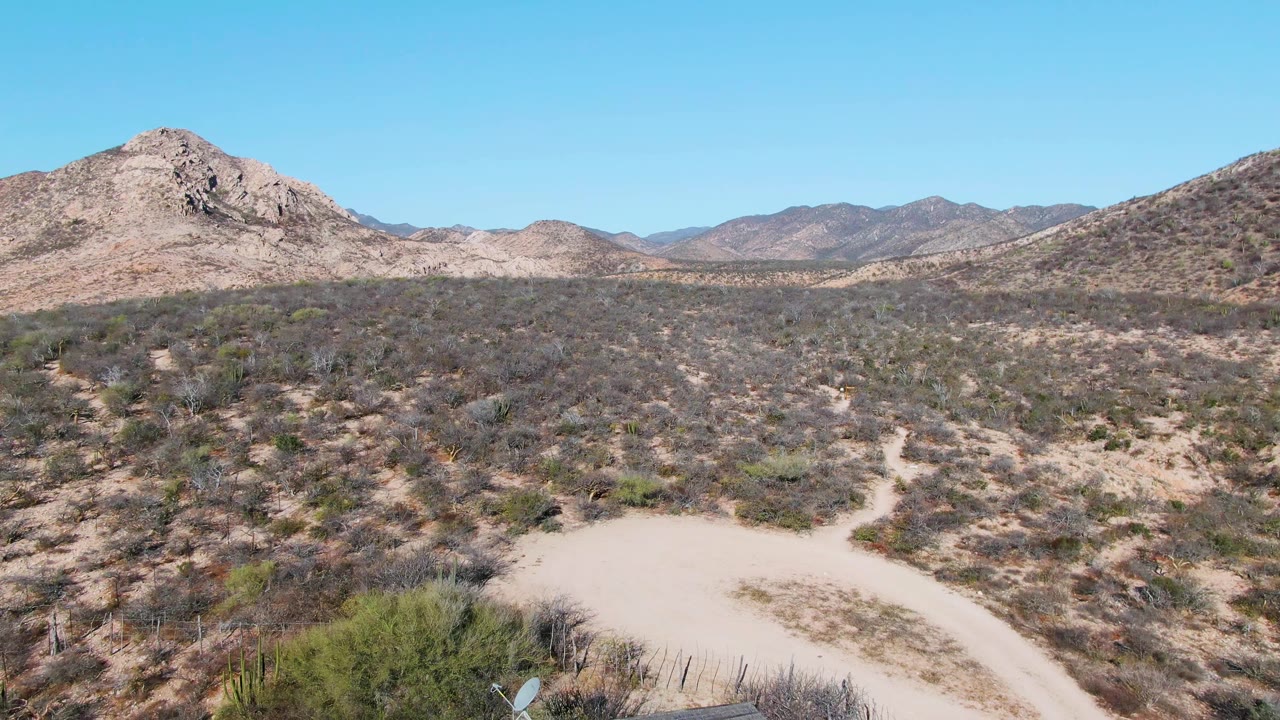 Desert landscape with winding dirt path and green bush near lower frame