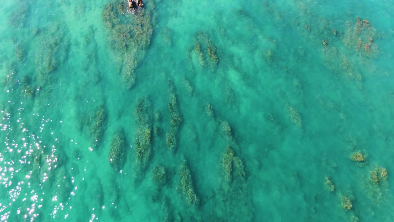 Turquoise water over submerged vegetation with a small dark object near the top edge.