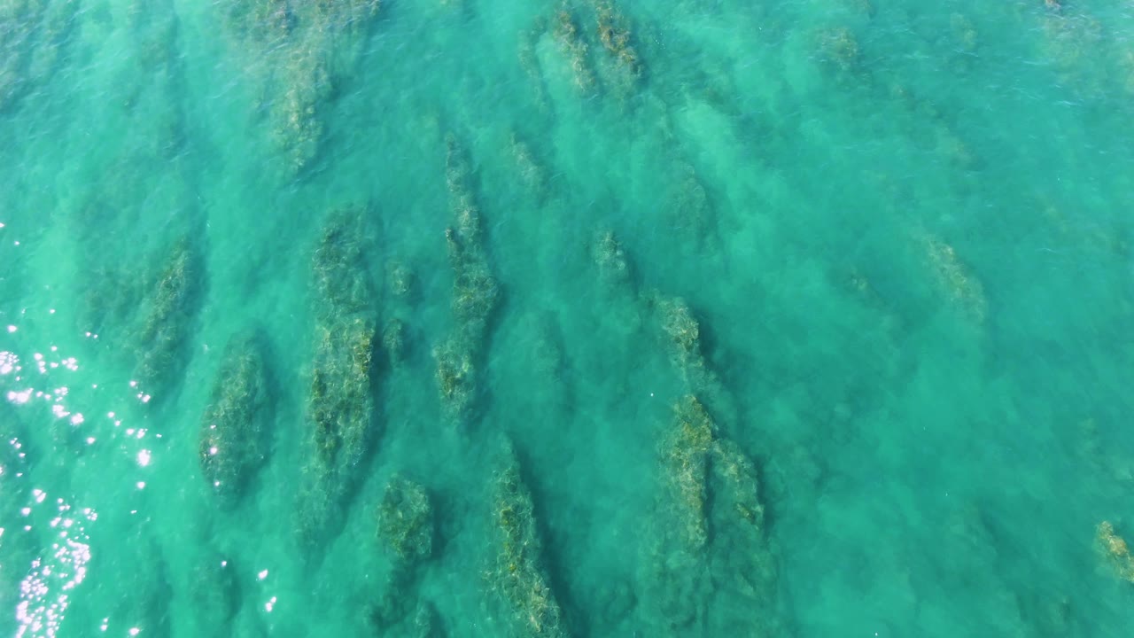 Overhead turquoise water with submerged vegetation and sun sparkles.