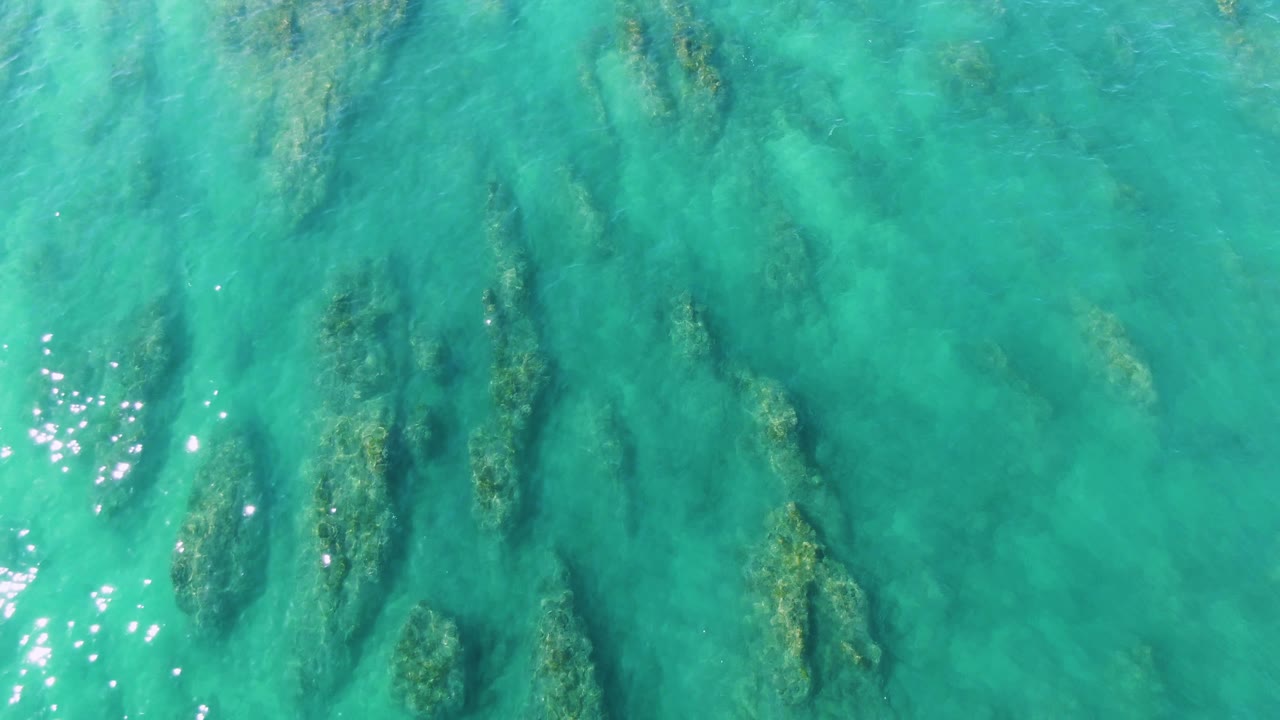 Clear blue-green water in La Fortuna, Baja California Sur, reveals darker submerged mangrove roots or vegetation under a lightly rippled surface with no visible people.