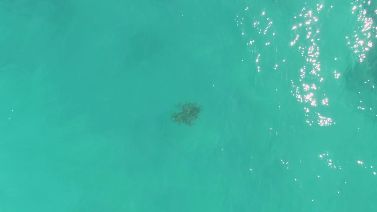 The turtle remains visible below clear water in La Fortuna, Baja California Sur, while a larger patch of bright surface glare appears along the right side, with no visible people.