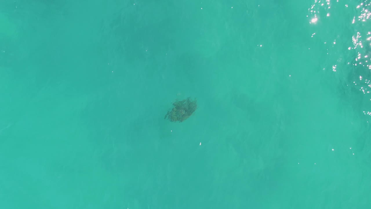 Sea turtle below turquoise water with dark underwater patches