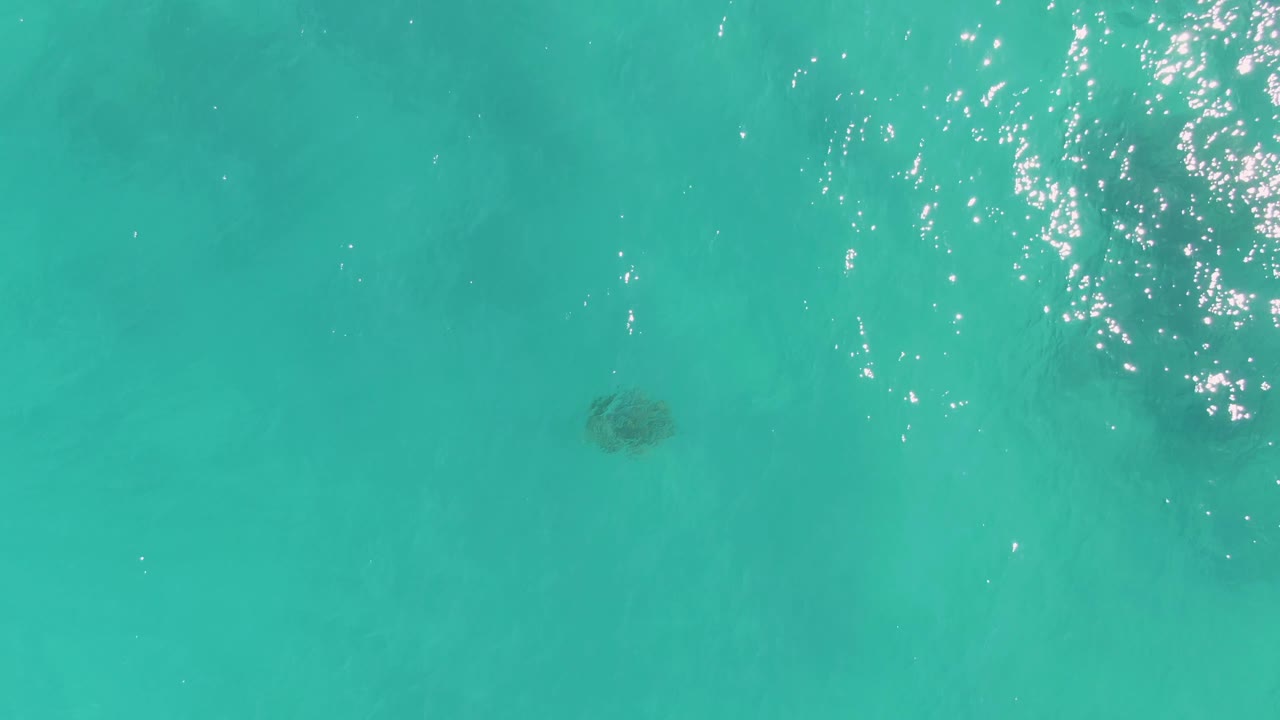 A sea turtle remains visible under shallow turquoise water at La Fortuna, Baja California Sur, with a larger cluster of bright surface glints at the right side and no visible people.