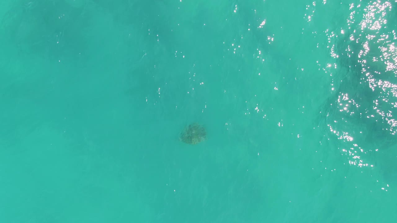 The turtle appears below the surface in clear turquoise water at La Fortuna, Baja California Sur, while sunlight sparkles along the upper right edge and no visible people appear.