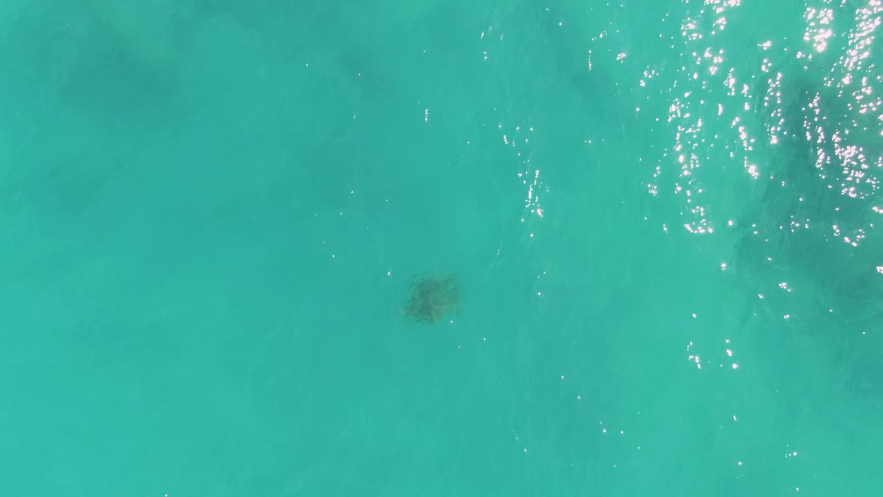 A sea turtle sits lower in the overhead frame beneath turquoise water at La Fortuna, Baja California Sur, with active sun reflections across the upper middle and no visible people.