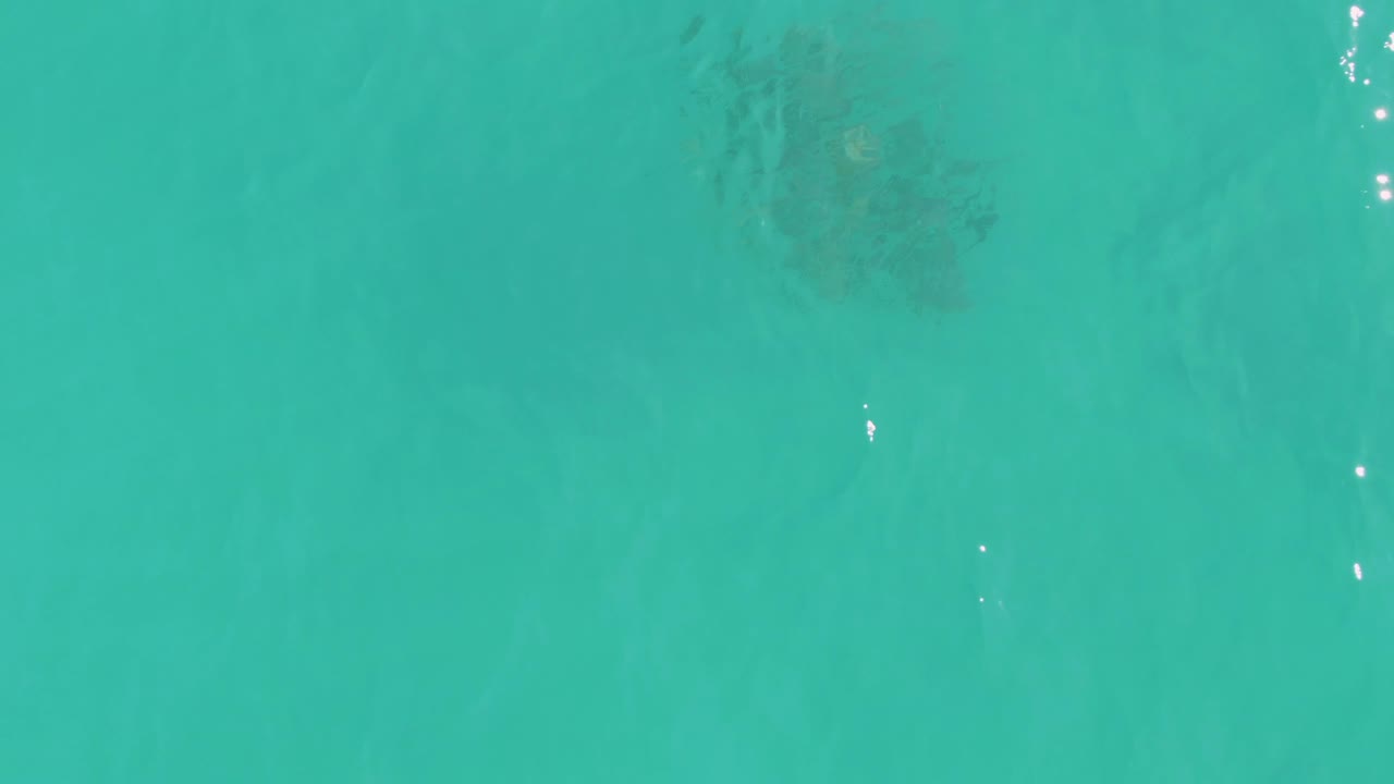 Top-down view of clear turquoise water in La Fortuna, Baja California Sur, with a dark school of fish near the upper left area and no visible people.
