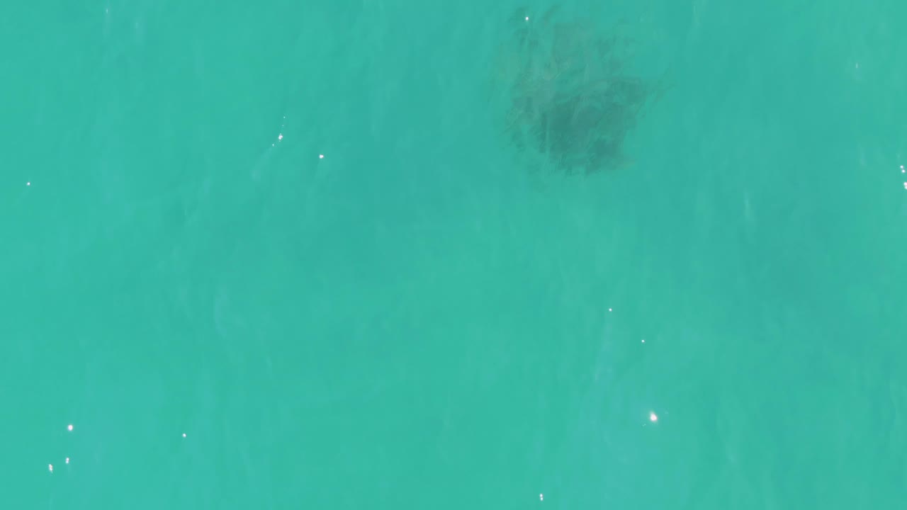 Overhead view of turquoise ocean at La Fortuna, Baja California Sur, with a faint dark fish school under the upper portion of the frame and no visible people.