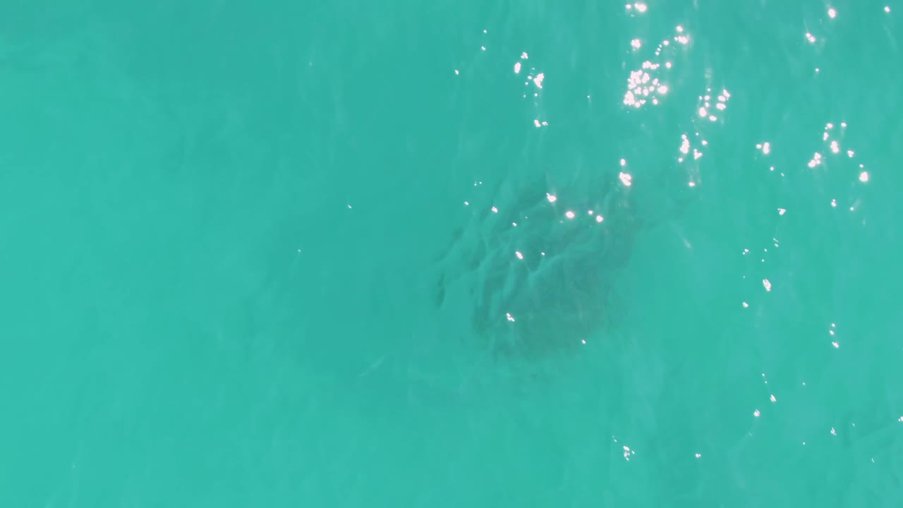 The turtle sits deeper in the top-down frame under clear turquoise water in La Fortuna, Baja California Sur, with bright surface sparkles above it and no visible people.