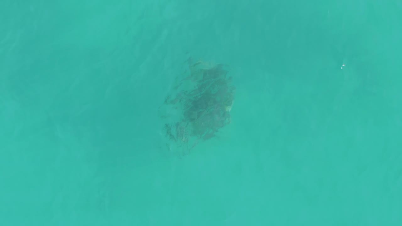 The turtle remains visible below the turquoise ocean surface in La Fortuna, Baja California Sur, with scattered white light glints and no visible people.