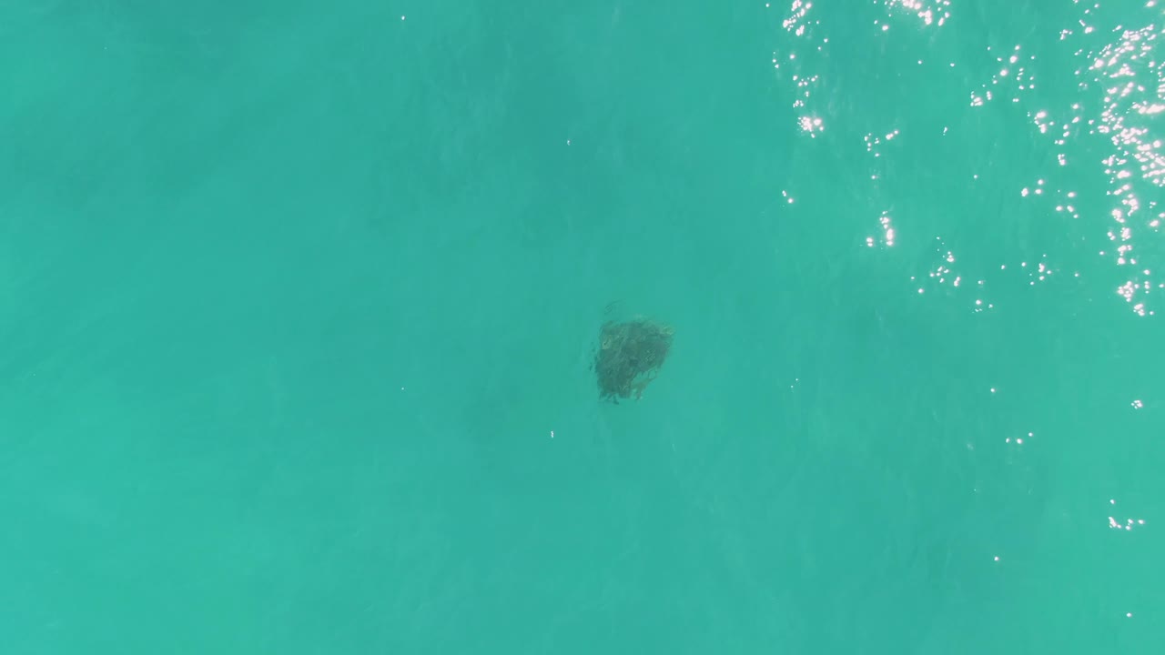 The turtle remains below the surface in La Fortuna, Baja California Sur, with stronger white sun glints on the rippled turquoise water and no visible people.