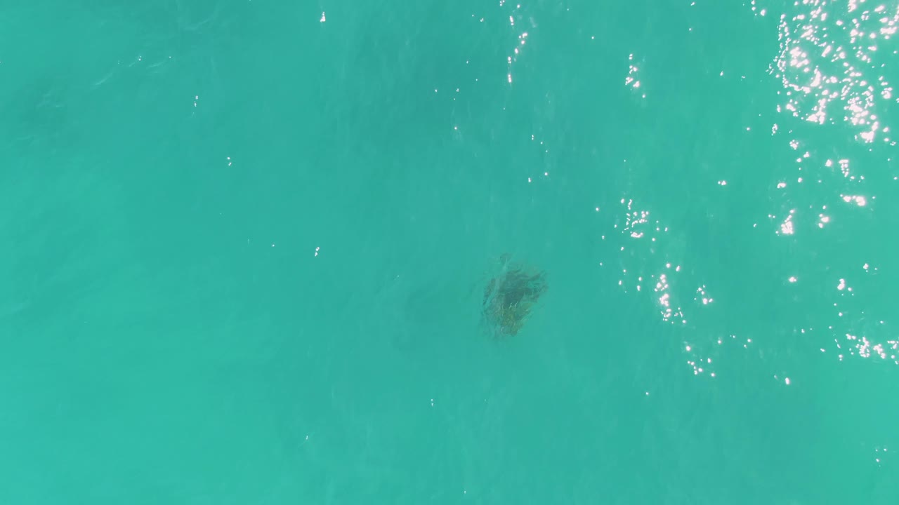 Midway through the clip, the sea turtle is seen beneath turquoise water in La Fortuna, Baja California Sur, with sun reflections shifted across the frame and no visible people.