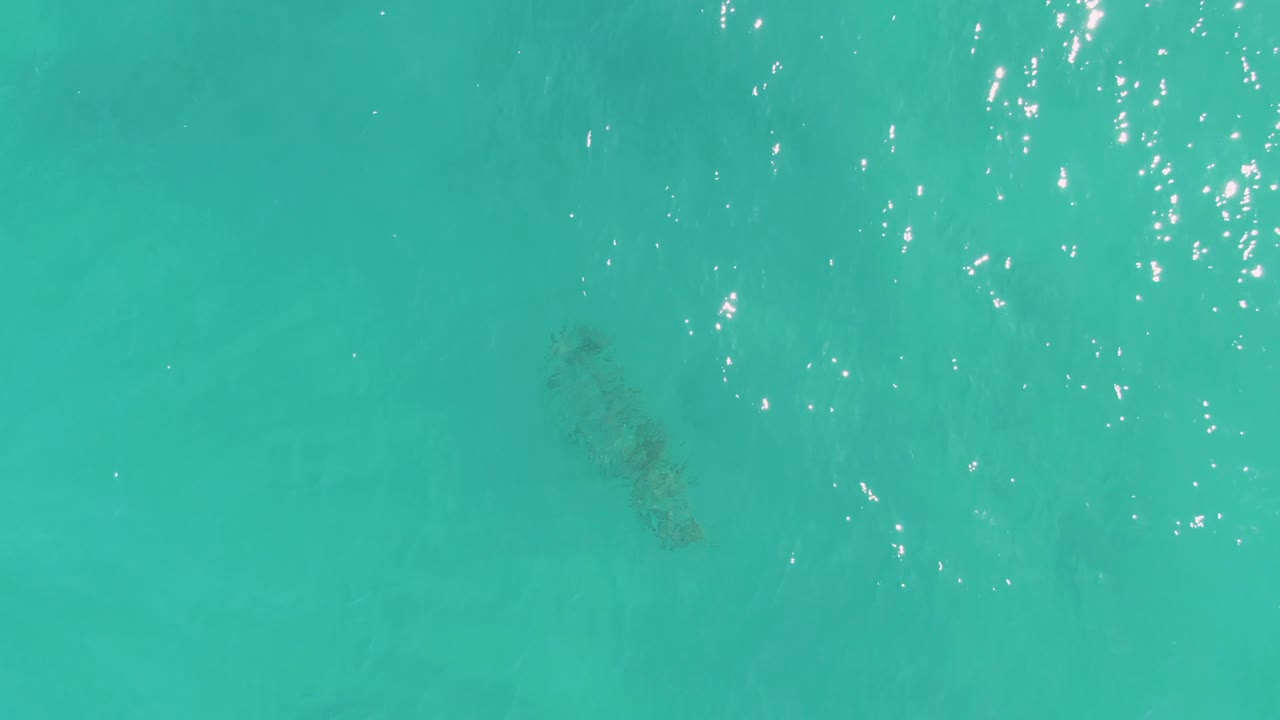 At 0:02, the manatee remains below the turquoise surface, darker against the sandy water color, with concentrated reflections along the upper right edge and no visible people.