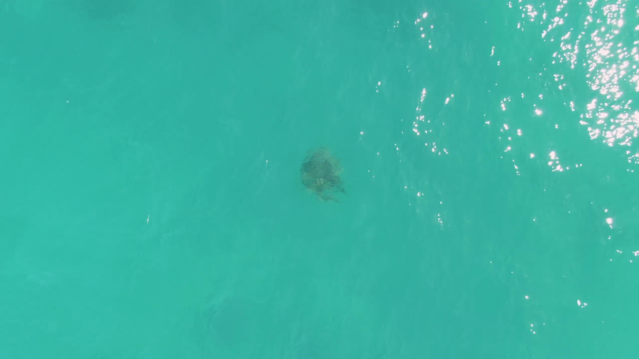 A sea turtle remains visible below blue-green ocean water near the center of the frame, with stronger sun sparkle crossing the surface and no visible people.