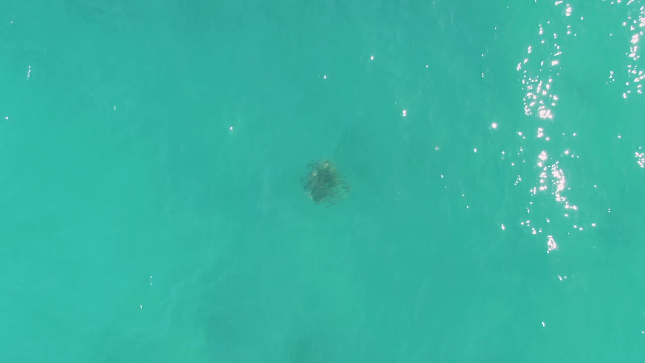 The turtle appears beneath transparent turquoise water with a vertical band of reflected sunlight nearby and no visible people or vessels.