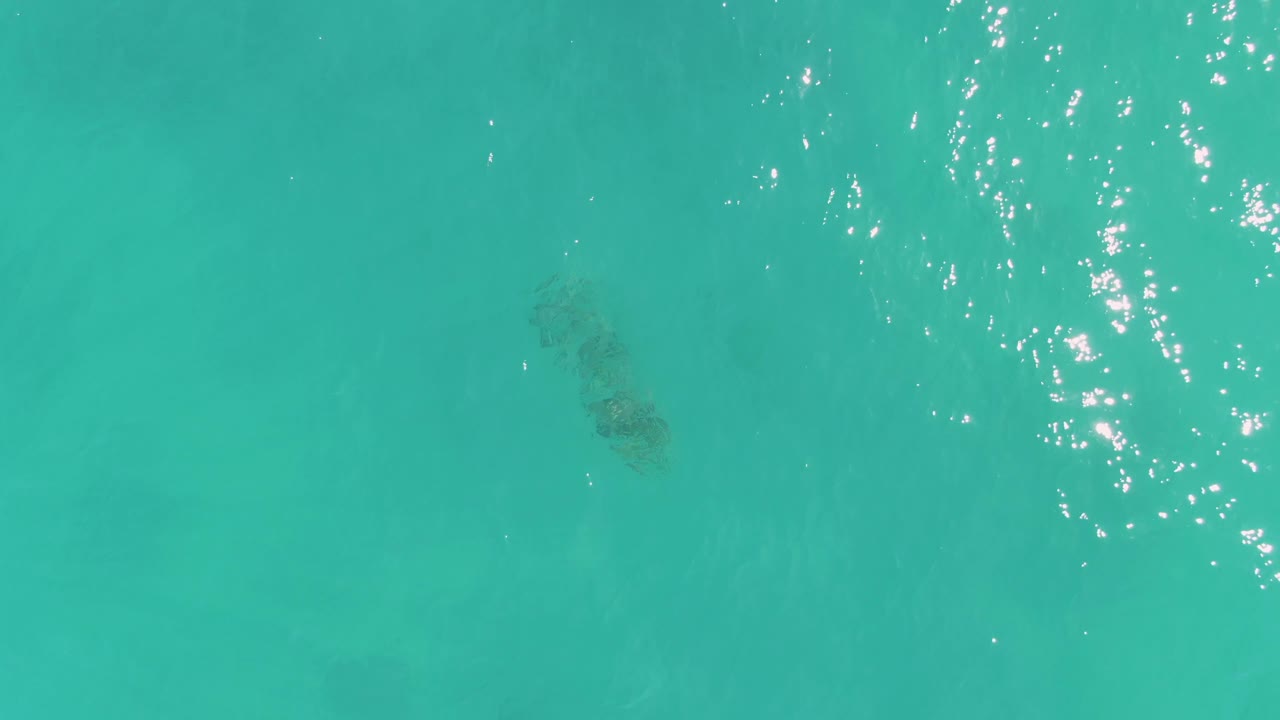 Sea turtle below turquoise ocean water with sun sparkle near the top edge.