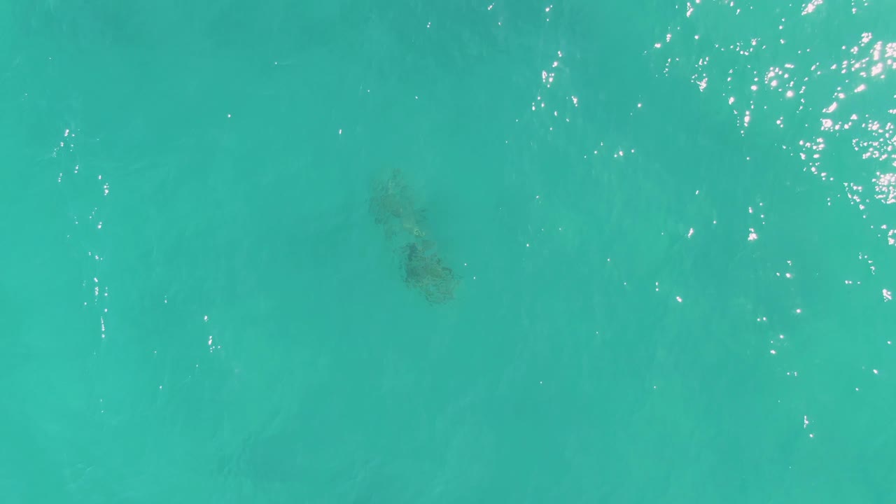 At La Fortuna, Baja California Sur, the turtle remains visible under the blue-green ocean surface while a cluster of white sun glints spreads across the upper water, with no visible people.