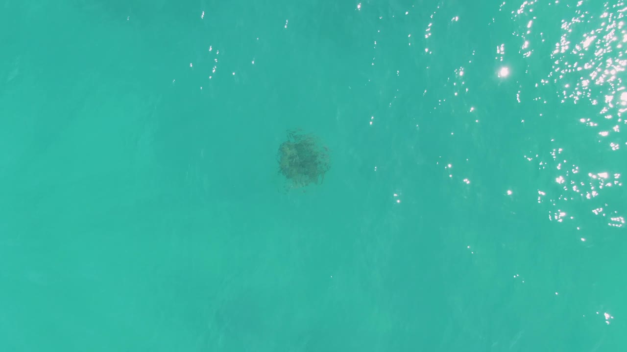 The sea turtle remains just below the surface in clear La Fortuna water, with the brightest sun reflections clustered to the right and no visible people.
