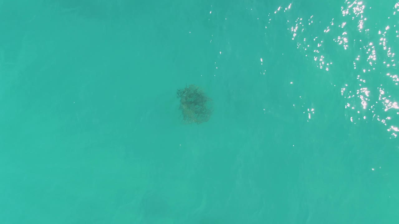 A top-down frame shows the turtle under smooth turquoise ocean water in La Fortuna, with scattered white reflections near the upper right and no visible people.