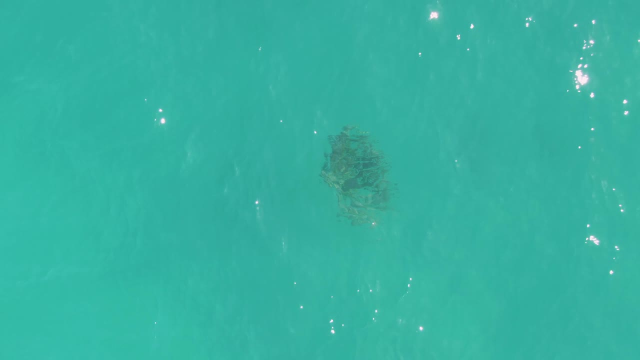 Clear ocean water over La Fortuna shows the coral patch slightly right of center, with bright sun reflections on the rippled surface and no visible people.