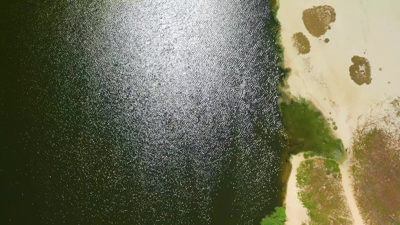 Overhead frame from San Jose del Cabo showing dark green water on the left, pale sandy shore on the right, small brown patches, and no visible people.