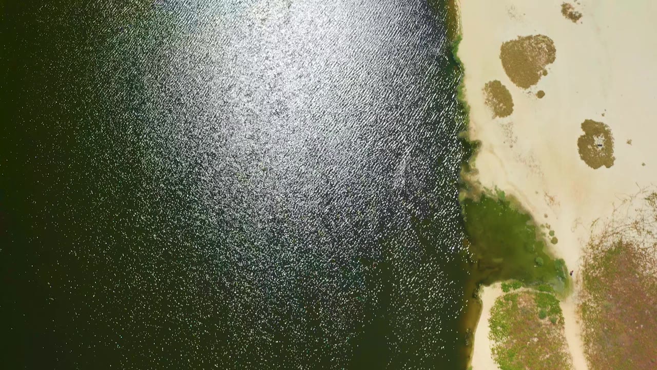 A San Jose del Cabo overhead view holds on rippled dark water with a bright reflection area and a narrow sandy shoreline strip with scattered brown marks, no visible people.