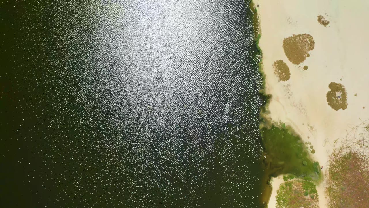 The third frame shows the same San Jose del Cabo coast from above, with sunlit ripples across dark water and pale sand marked by small green and brown patches, no visible people.