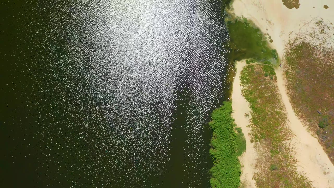 Top-down San Jose del Cabo frame with dark water across most of the image, pale beach along the right edge, green shrubs near the waterline, and no visible people.